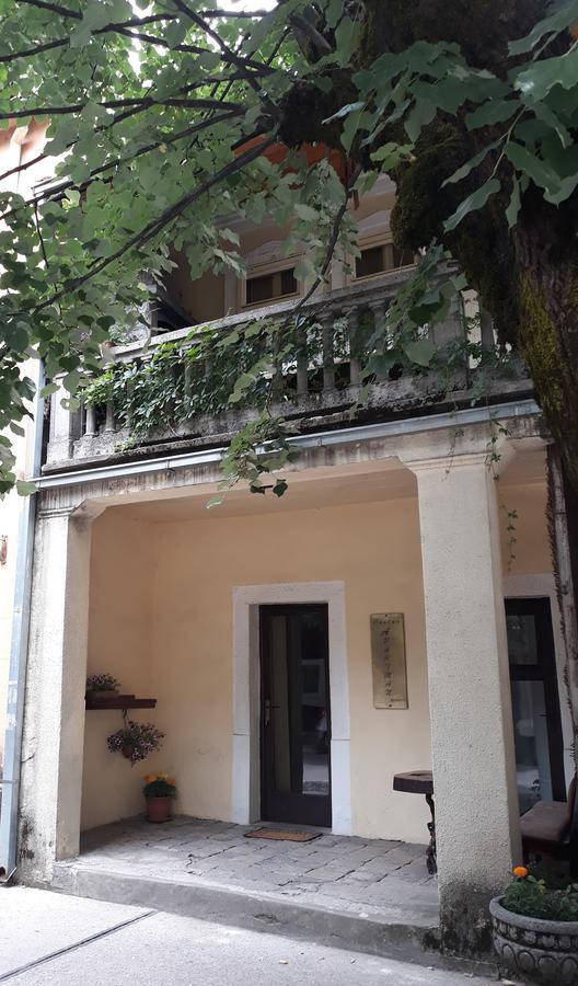 Apartman Centar Cetinje Luaran gambar